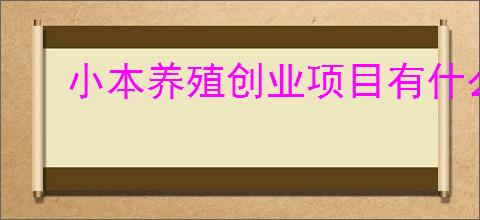 小本养殖创业项目有什么？小本投入养殖项目                </div>
                                <div class=
